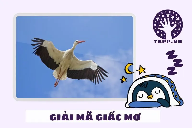 Giải mã chi tiết giấc mơ nằm mơ thấy con hạc
