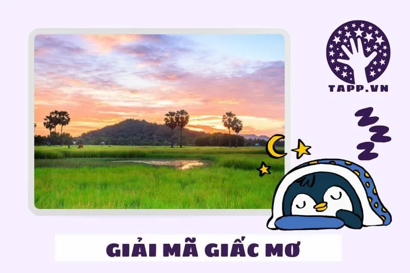 Giải mã chi tiết các trường hợp nằm mơ thấy về quê