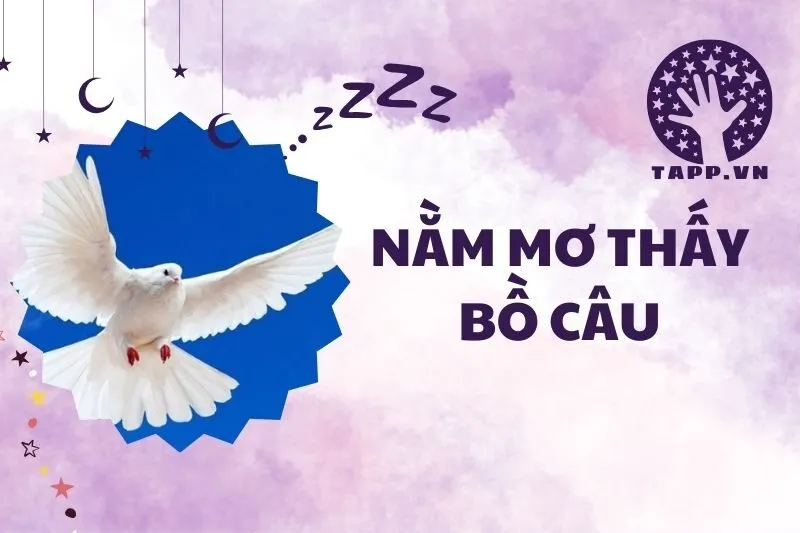 Nằm mơ thấy bồ câu 2025: Giải mã ý nghĩa và điềm báo