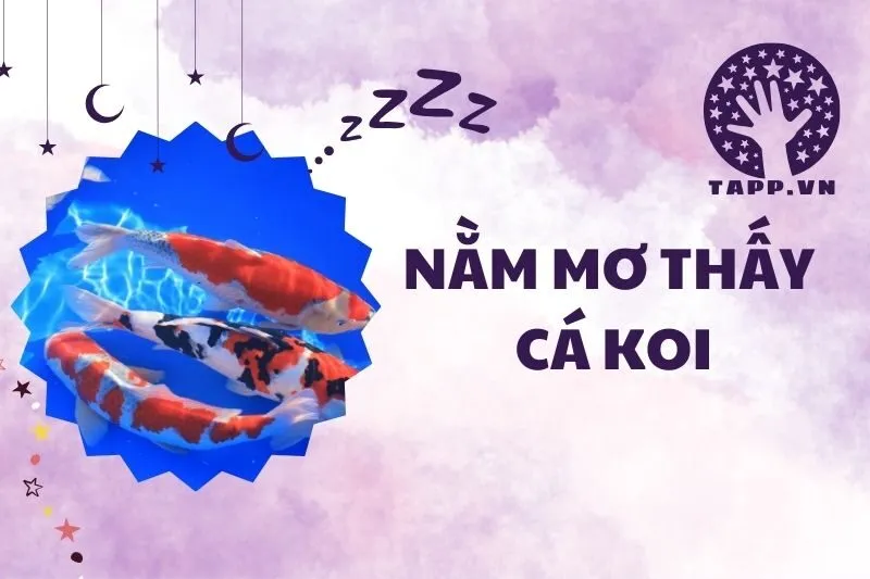 Nằm mơ thấy cá koi 2025: Ý nghĩa và giải mã chi tiết