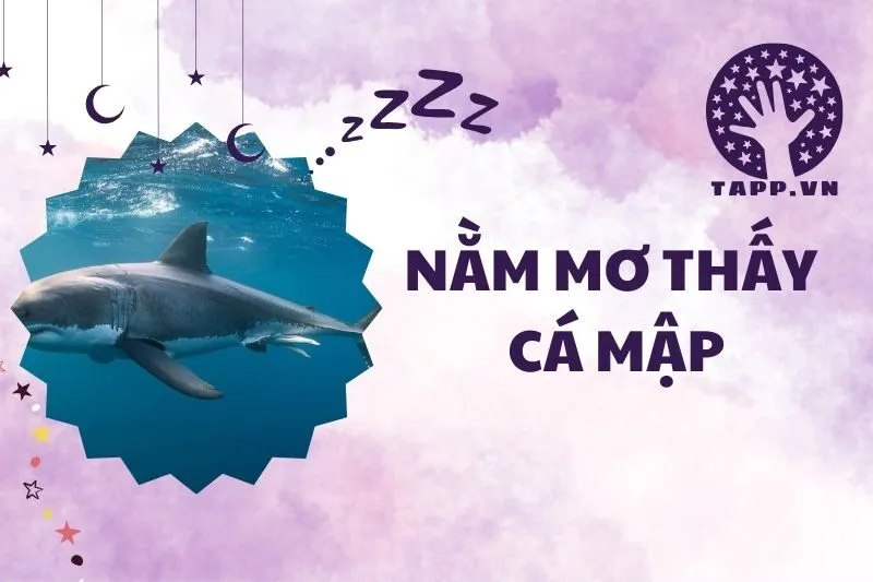 Nằm mơ thấy cá mập 2025: Giải mã ý nghĩa và điềm báo