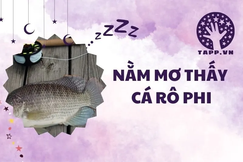 Nằm mơ thấy cá rô phi 2025: Giải mã chi tiết và ý nghĩa
