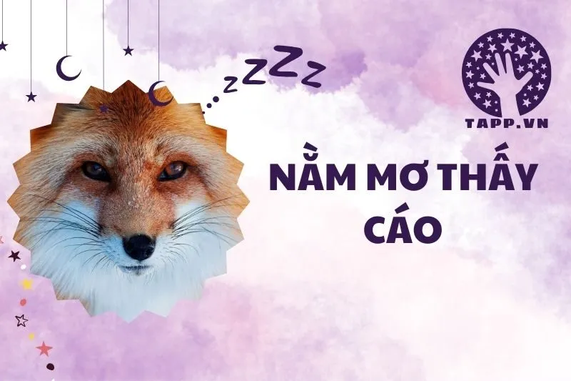 Nằm mơ thấy cáo 2025: Giải mã điềm báo và ý nghĩa chi tiết