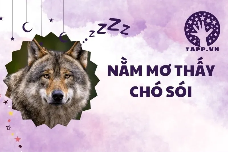 Nằm mơ thấy chó sói: Giải mã giấc mơ chính xác nhất 2025