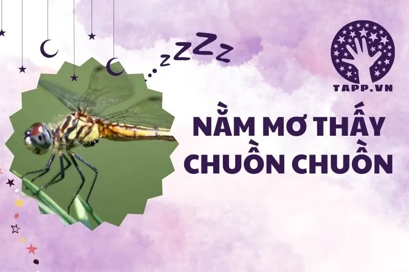Nằm mơ thấy chuồn chuồn 2025: Ý nghĩa và điềm báo chi tiết