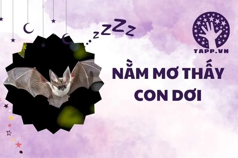 Nằm mơ thấy con dơi 2025: Giải mã và ý nghĩa chi tiết