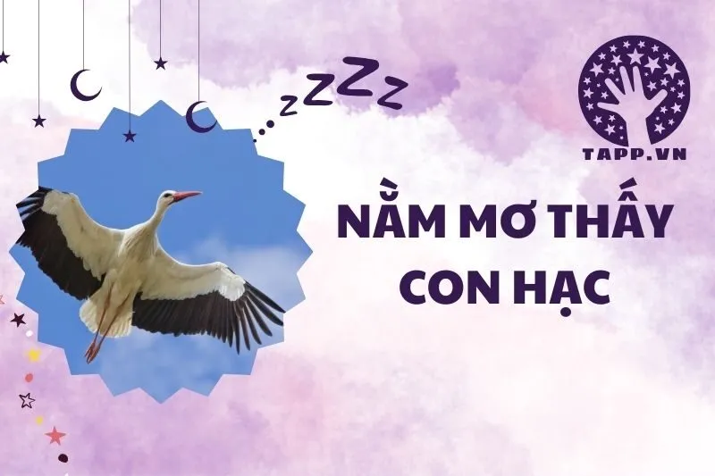 Nằm mơ thấy con hạc 2025: Ý nghĩa và giải mã chi tiết