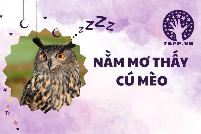 Nằm mơ thấy cú mèo 2025: Ý nghĩa và điềm báo chi tiết