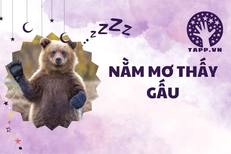 Nằm mơ thấy gấu 2025: Giải mã chi tiết giấc mơ và ý nghĩa