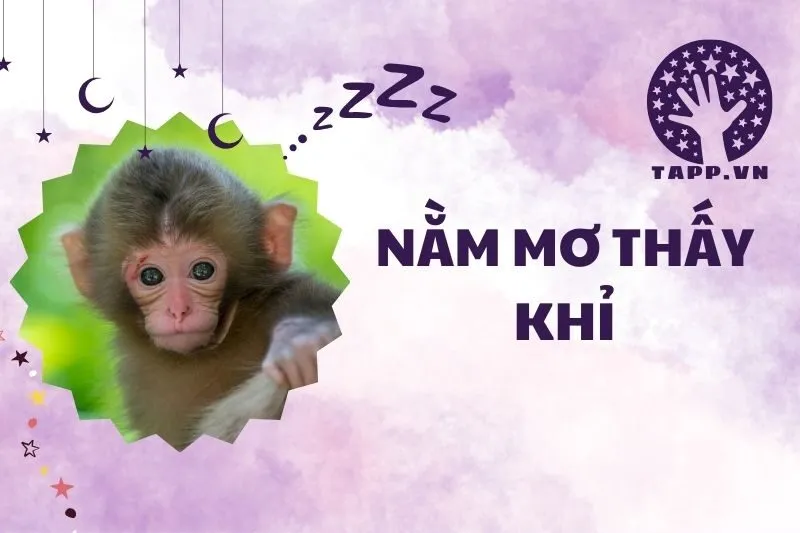 Nằm mơ thấy khỉ: Giải mã giấc mơ và điềm báo 2025