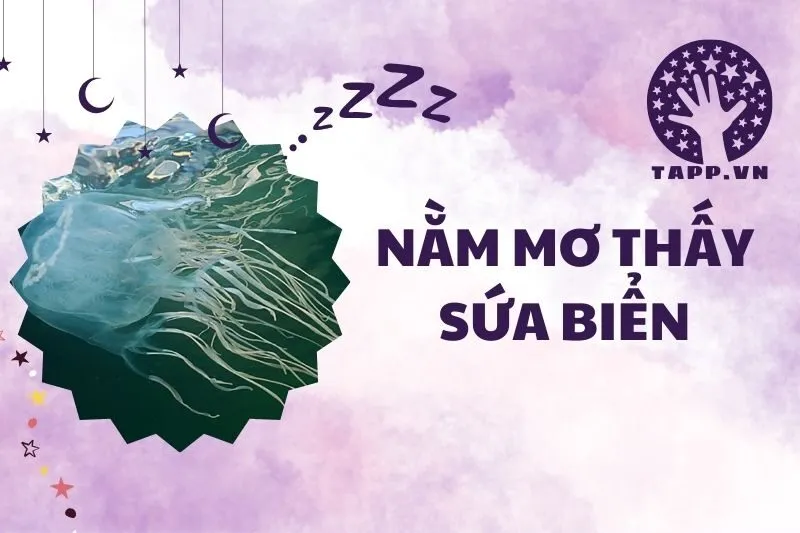 Nằm mơ thấy sứa biển 2025: Giải mã ý nghĩa và điềm báo chi tiết