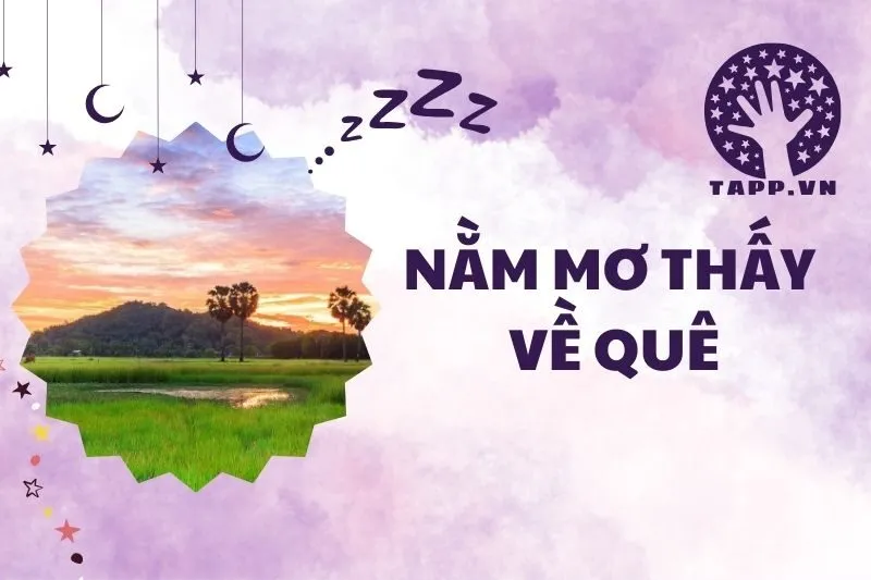 Nằm mơ thấy về quê: Giải mã chi tiết và ý nghĩa 2025