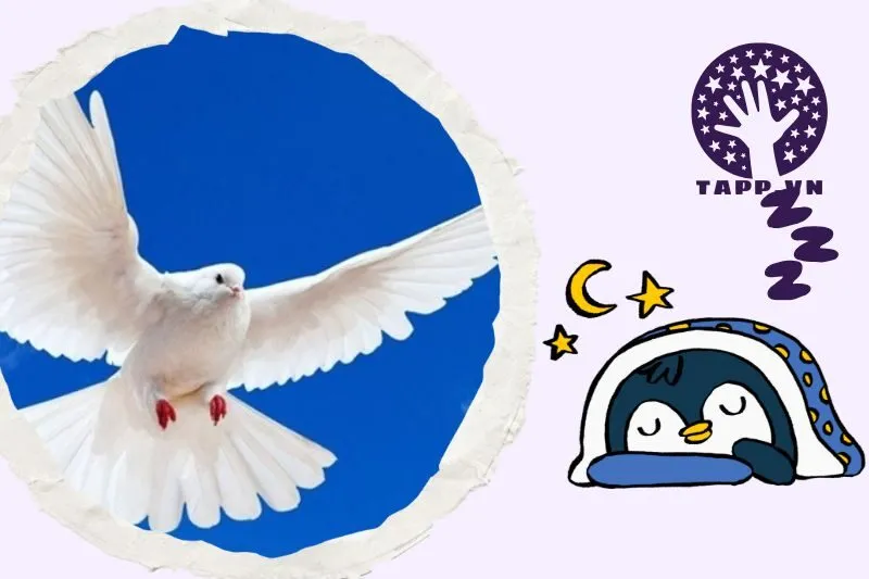 Ý nghĩa giấc mơ thấy bồ câu