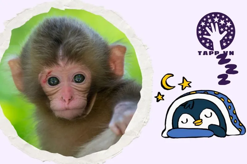 Ý nghĩa của việc nằm mơ thấy khỉ