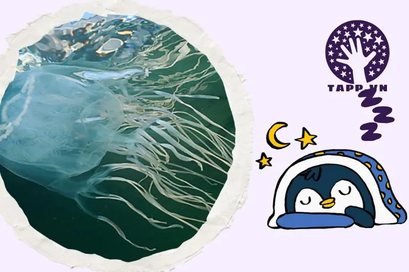 Ý nghĩa giấc mơ nằm mơ thấy sứa biển