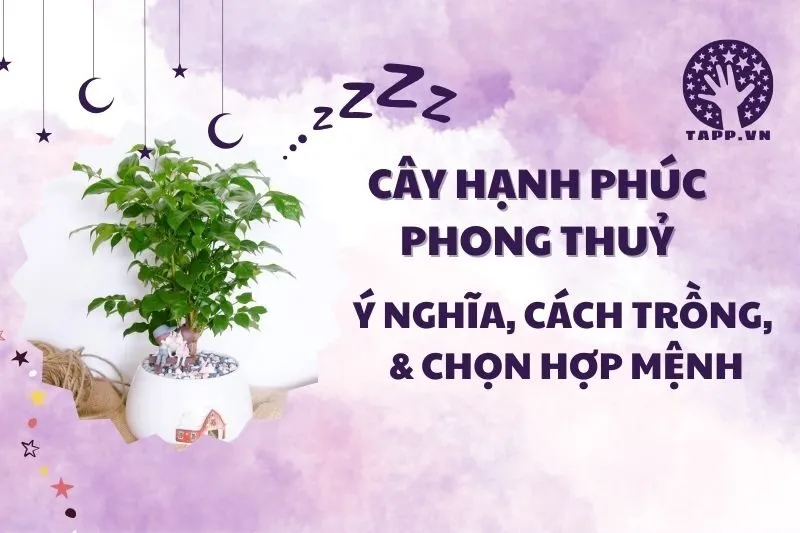 Cây hạnh phúc phong thủy 2025: Ý nghĩa, hợp mệnh và cách chăm sóc