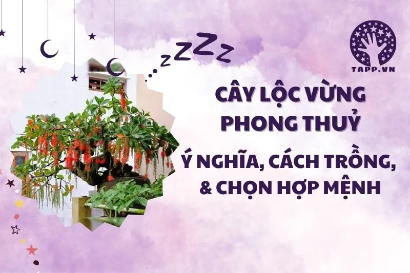 Cây lộc vừng phong thủy 2025: Ý nghĩa, cách trồng và chăm sóc