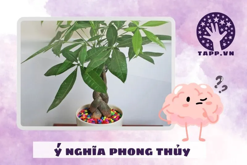 Ý nghĩa phong thủy của cây kim ngân
