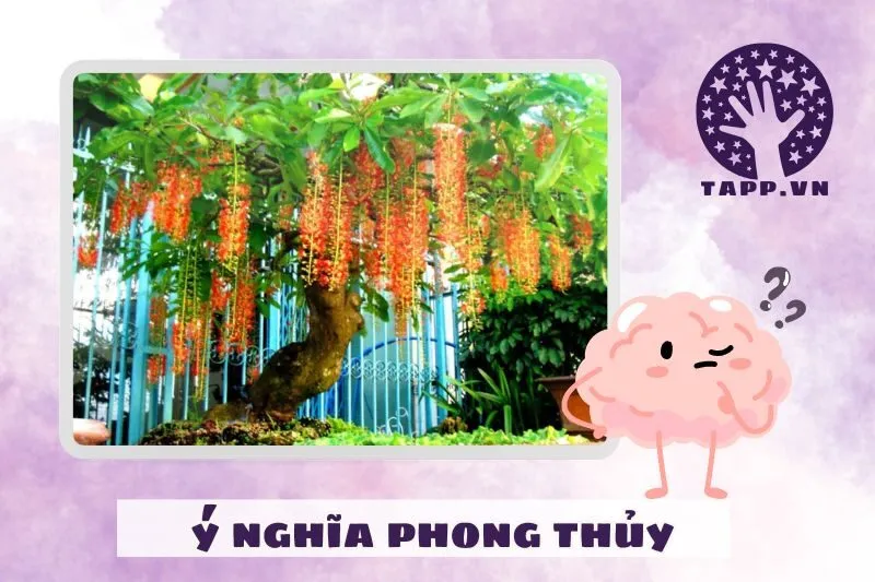 Cây lộc vừng phong thủy có ý nghĩa gì?