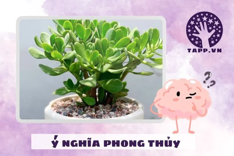 Ý nghĩa phong thủy của cây ngọc bích