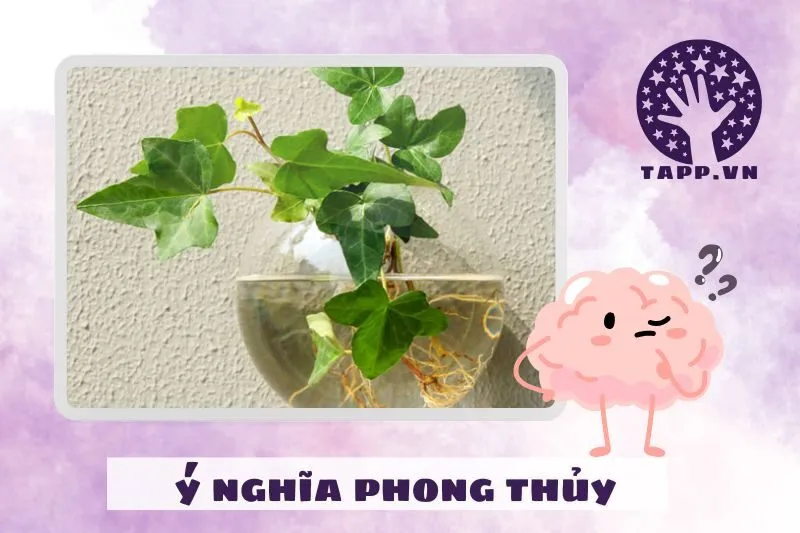 Ý nghĩa phong thủy của cây thường xuân